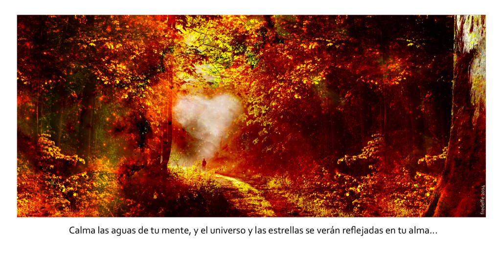 rumi_sabiduria_chamanica_y_universo